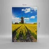 Bild auf Leinwand - Leinwandbild - Einteilig - Tulpen Produktbild-Vorschau 3