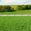 Gallagher Weidezaunseil TurboLine Cord (weiß) - 500 m Produktbild-Vorschau 4