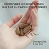 Gélules de shilajit Aavalabs | 50 % d'acide fulvique | Voir les images du produit 8