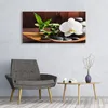 Acrylglasbilder 120x60 Wandbild Druck Blume Bambusrohr Produktbild-Vorschau 3