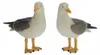 Tierplastik - Vogel - Mowe stehend 15 cm aus Polystone Produktbild-Vorschau 2