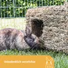 Kerbl Grashaus XL (für Kaninchen/Nagetiere, natürlich Produktbild-Vorschau 6