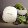 Masażer gua sha do twarzy RESTEQ EMS LED termolifting Podgląd zdjęcia produktu 4