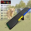 Move and Stic Hundewippe GOFI Agility Spielgerät Produktbild-Vorschau 2