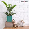 KOTARBAU® Lot de 2 pots de fleurs turquoise céramique Voir les images du produit 2