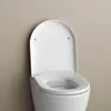 BERNSTEIN Duroplast WC-Sitz U1009 mit Soft-Close-Funktion – Produktbild-Vorschau 5
