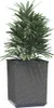 vidaXL květináč 2 ks černý 30x30x37 cm Polypropylen Náhled obrázku produktu 3