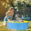 A woman and her dog are playing in a kiddie pool in a backyard. Produktbild-Vorschau
