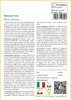 SAFLAX  - Banano rosa - 8 semi - Musa Anteprima dell’immagine prodotto 3
