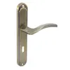 A close-up studio shot of a bronze-colored door handle with a long escutcheon plate, set against a white background. Produktbild-Vorschau