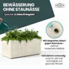 XL Pflanzkasten „Millennium“ 78x39x39 cm – 73L Volumen – Produktbild-Vorschau 6