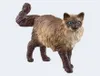 Schleich Farm World 13940 Gatto Ragdoll Anteprima dell’immagine prodotto 7