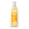 Avoine - Shampooing Replenish & Care 190ml Voir les images du produit 11