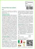 SAFLAX  - Prato di fiori da recidere - 1000 semi - Mix Anteprima dell’immagine prodotto 3
