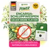 Encarsia Schlupfwespen gegen weiße Fliegen, 10 Karten für Produktbild-Vorschau 1