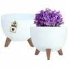 Two white plant pots with wooden legs, one containing purple flowers, against a white background. Náhled obrázku produktu