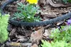 Perlschlauch Tropfschlauch Gartenschlauch Produktbild-Vorschau 4