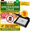 Speckkäfer Falle mit Pheromon-Lockstoff - 1x Falle -  Produktbild-Vorschau 1