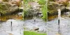 A collage of three images showing a pond fountain in different spray patterns. Produktbild-Vorschau