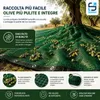 Rete Antispina Raccolta Olive 8x12 MT in PE Anteprima dell’immagine prodotto 2