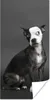 MuchoWow® Poster Hund - Spot - Porträt 20x40 cm Produktbild-Vorschau 1