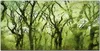 Coloray - Bild aus Glas - Glasbilder - 100 x 50 cm - Produktbild-Vorschau 1