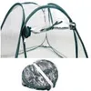 LEX Pop-Up Gewächshaus Tomatenhaus 60 x 60 x 60 cm GH60 Produktbild-Vorschau 2