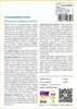 SAFLAX - Cestovateľský strom - Ravenala madagascariensis - Náhľad obrázku produktu 3