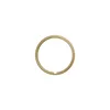 Strap-it Garmin Lily Displayschutzfolie (Gold) Produktbild-Vorschau 2
