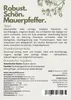 Weißer Mauerpfeffer Sedum album, 1 Portion, Bodendecker für Produktbild-Vorschau 2