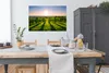 MuchoWow® Poster Grüne Weinberge bei Sonnenaufgang 120x80 Produktbild-Vorschau 3