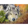 Puzzle 500 pezzi Lupo 53285 Anteprima dell’immagine prodotto 2