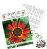 Farbenfrohe Sonnenblumen Samen mit hoher Keimrate - Produktbild-Vorschau 1