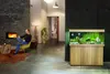 Juwel Rio 240 LED jasné dřevo - akvárium Juwel Náhled obrázku produktu 7