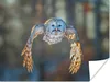 MuchoWow® Poster Fliegende Eule auf verblasstem Hintergrund Produktbild-Vorschau 1