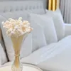 Glixia Getrocknete BIG - (Comanthera) - Gebleicht Produktbild-Vorschau 4