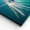 Bild auf Leinwand - Leinwandbild - Pflanze Natur - 120x80cm Produktbild-Vorschau 5