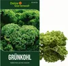 Grünkohl Halbhoher grüner krauser Samen - Brassica oleracea Produktbild-Vorschau 1