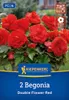 Kiepenkerl Knollenbegonie Rot Gefüllt Begonia x Produktbild-Vorschau 1