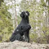 Back on Track Nella All-round Hundemantel Produktbild-Vorschau 6