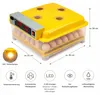 Incubateur Couveuse automatique Couveuse de surface Voir les images du produit 3