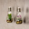 2er Set Sukkulenten Glühbirne Glas je B x H 8 x 19cm Deko Produktbild-Vorschau 5