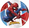 Spiderman - nachhaltiges Kindergeburtstags-Set (28-teilig, Produktbild-Vorschau 2
