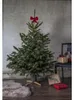 Star Trading Supporto per albero di Natale Granig con Anteprima dell’immagine prodotto 9