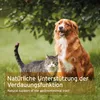 AniForte Flohsamen für Hunde & Pferde 1kg - Reich an Produktbild-Vorschau 5