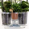 Orchidées Colibri | ensemble d'orchidées blanches dans un Voir les images du produit 6