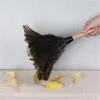Prachovka z pštrosího peří Přírodní pštrosí peří pro Náhled obrázku produktu 2