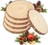 REMZETTA Houten schijven, 18 stuks, diameter 10 cm en dikte Productafbeelding-voorbeeld 1