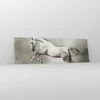 Bilder auf glas - Pferd Tier - 160x50cm - Glasbilder - Produktbild-Vorschau 4