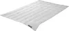 Badenia Trendline Daunendecke Princess Leicht Größe 135x200 Produktbild-Vorschau 1